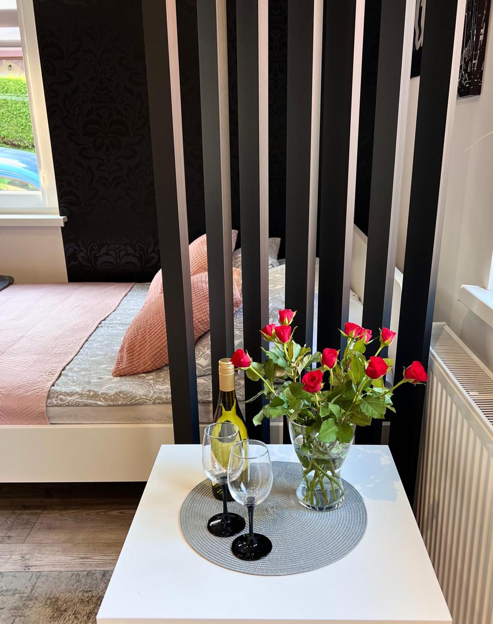 Stary Zdroj Apartment